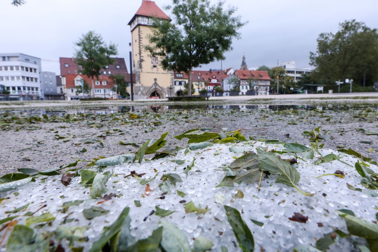 Hagelkörner und vom Sturm abgerissene Blätter liegen in Reutlingen auf dem Boden.