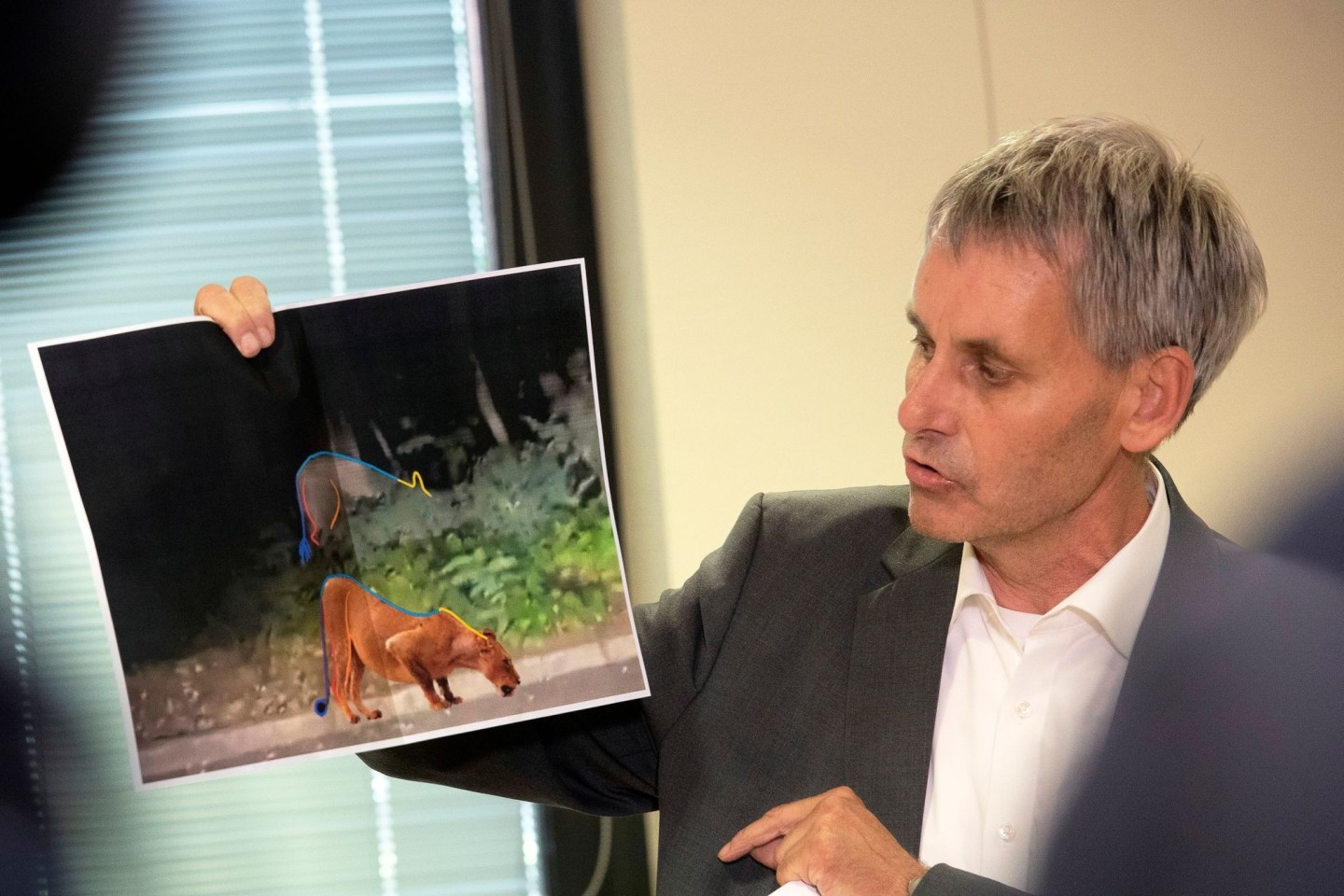 Kleinmachnow-Bürgermeister Michael Grubert erklärt anhand von Fotos, weshalb es sich bei dem gesuchten Raubtier um keine Löwin handelt.