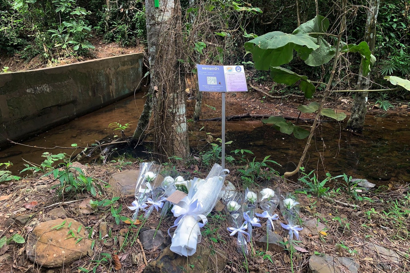 Die Leiche der Schweizer Touristin war in abgelegenem Gebiet auf der thailändischen Insel Phuket gefunden worden - sie hatte an einem Wasserfall gebadet.