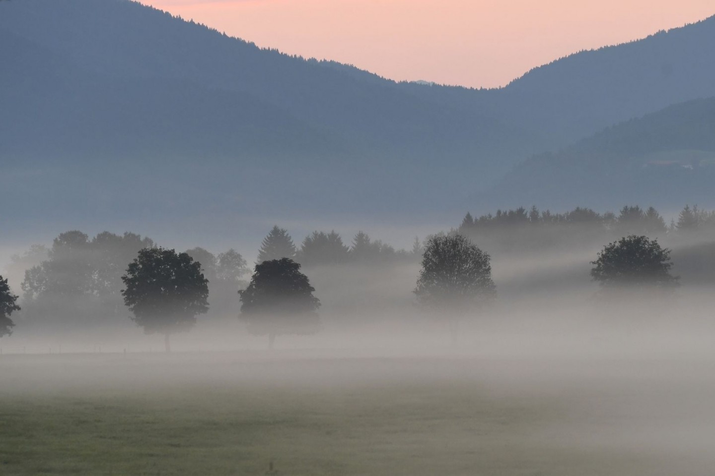 Morgennebel liegt über den Feldern in Bayern.