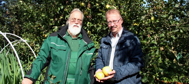 Regionale Apfelsorten im heimischen Garten