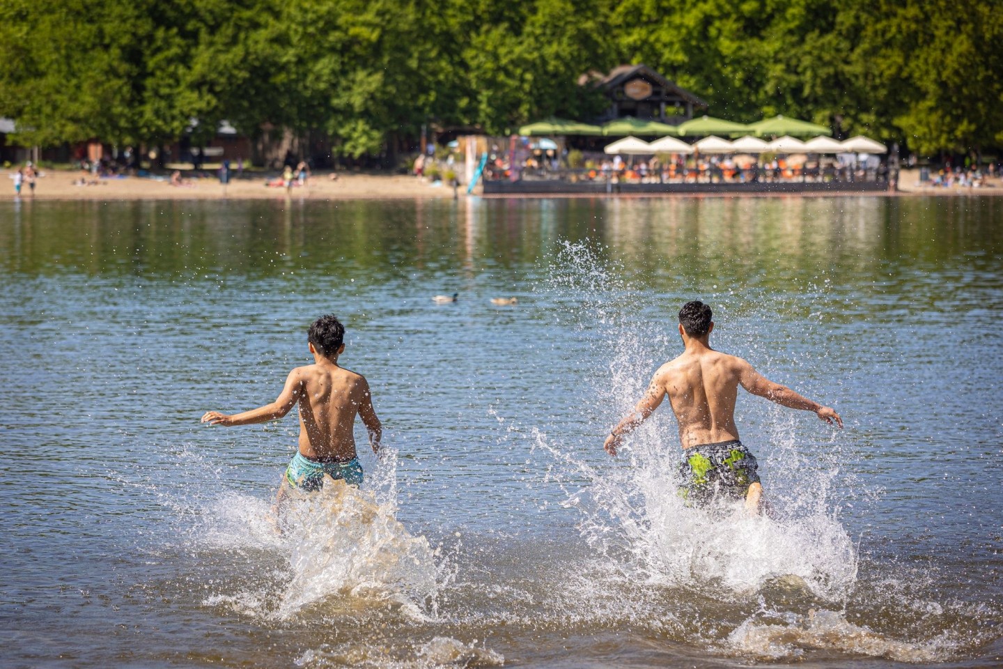 Zwei junge Männer rennen bei sonnigem Wetter in den Silbersee in der Region Hannover.