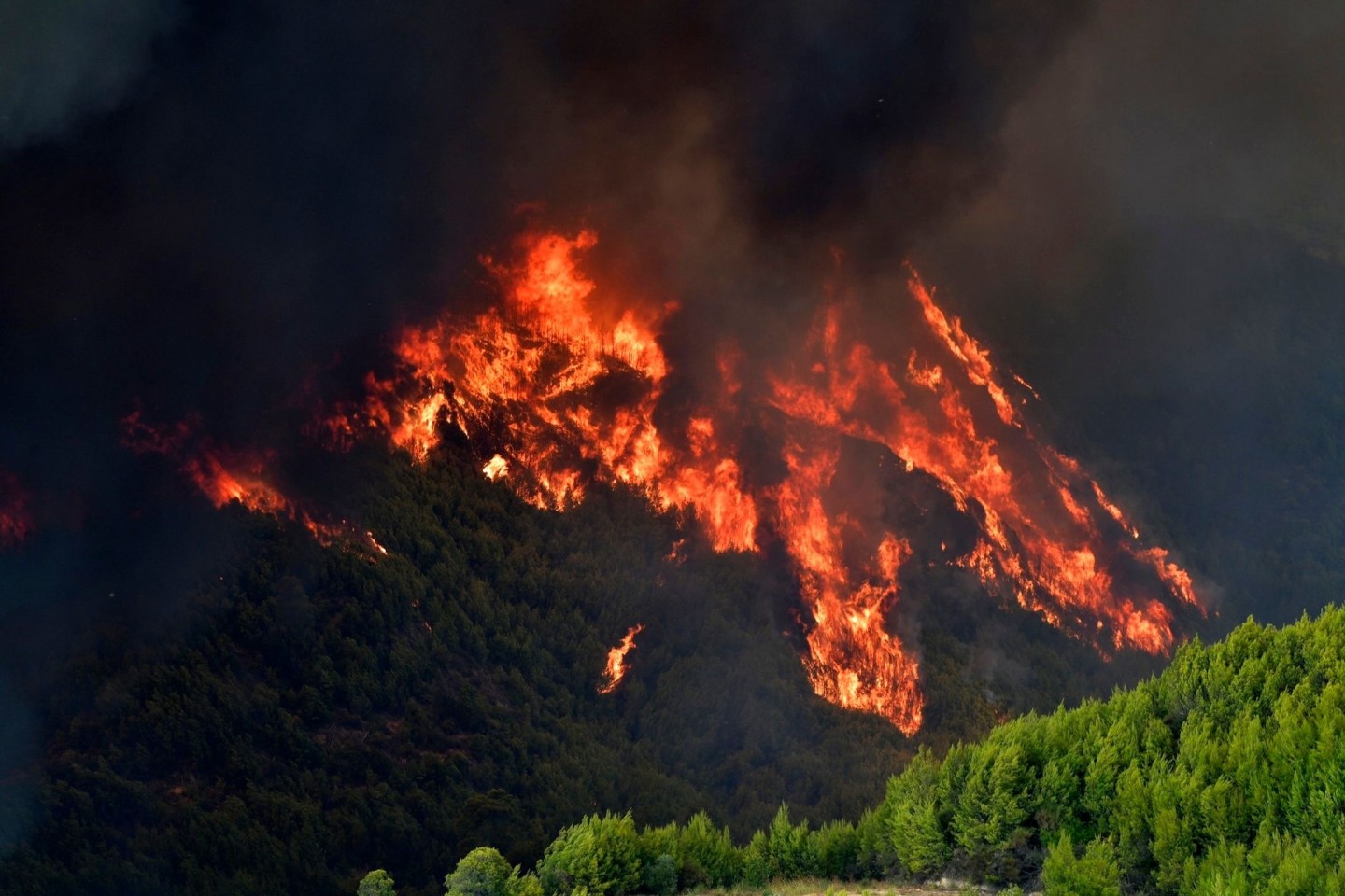 Ein Waldbrand wütet in der Nähe des Ortes Platanos, unweit des antiken Olympia.