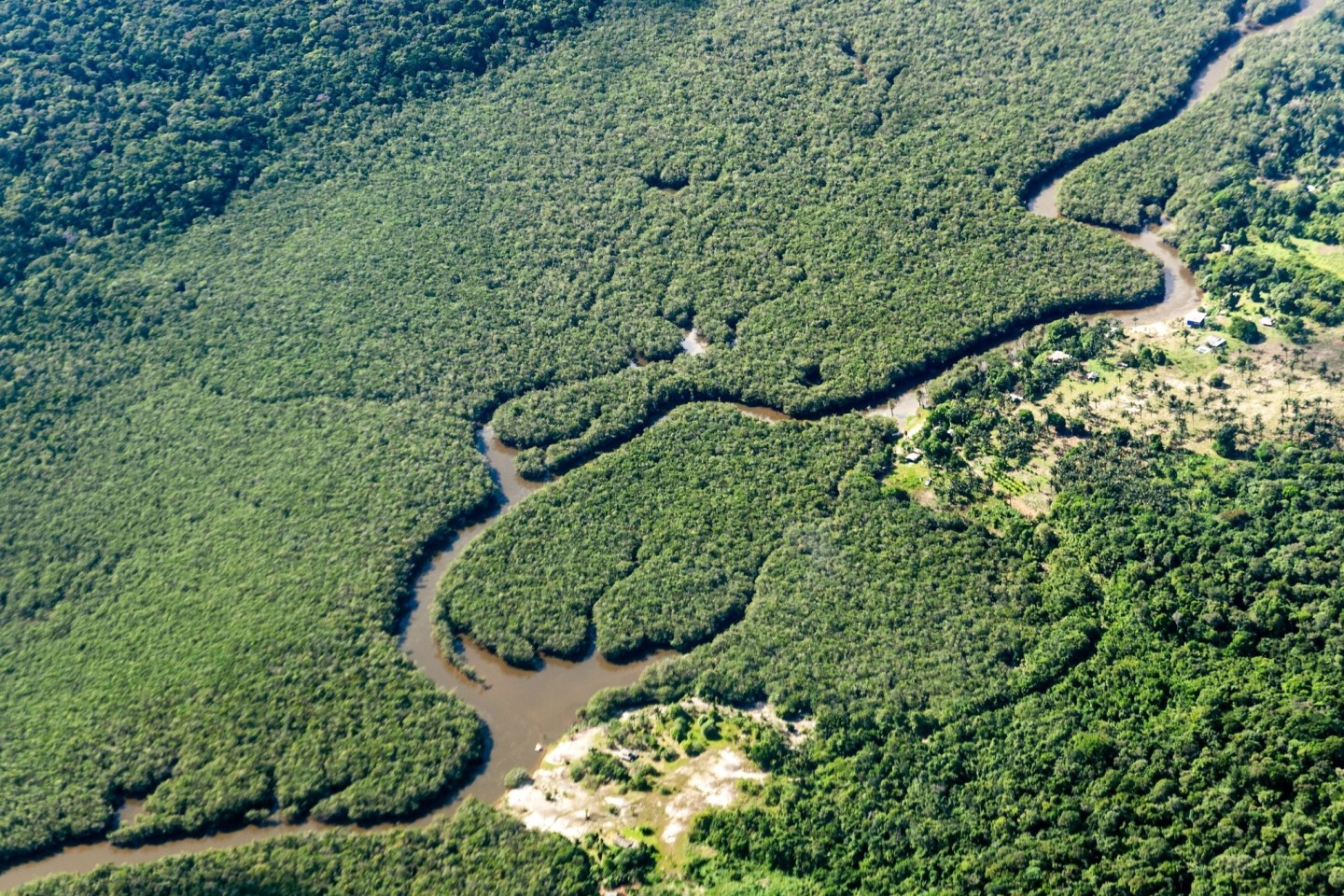 Ein kleiner Fluss schlängelt sich durch den Amazonas-Regenwald. Das brasilianische Amazonasgebiet gilt als CO2-Speicher.