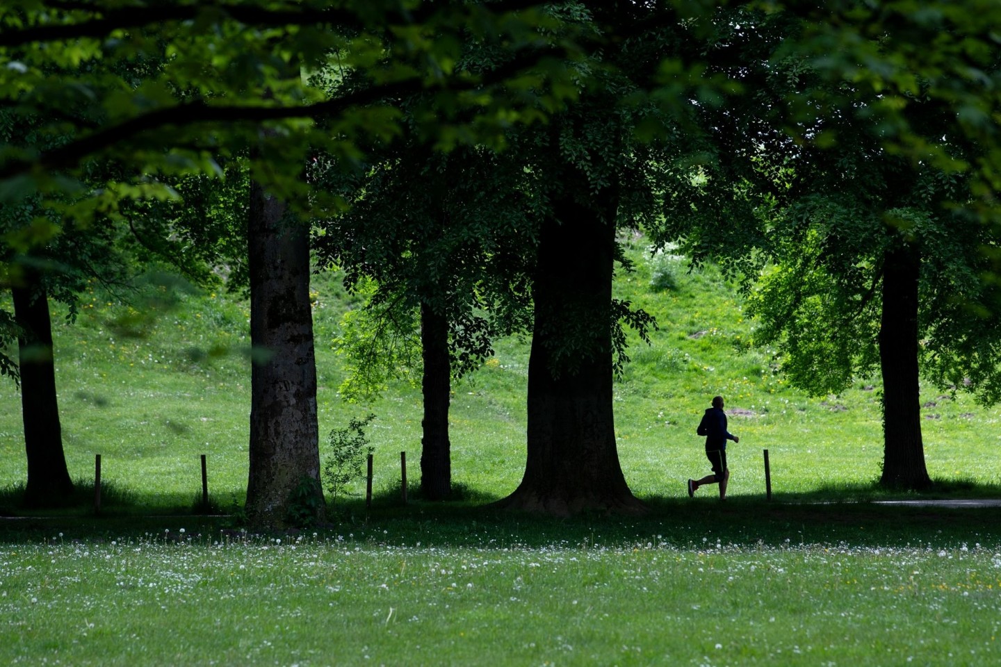 Ein Jogger ist im Englischen Garten in München unterwegs. Bewegung liegt in der Natur des Menschen - von Anfang an.