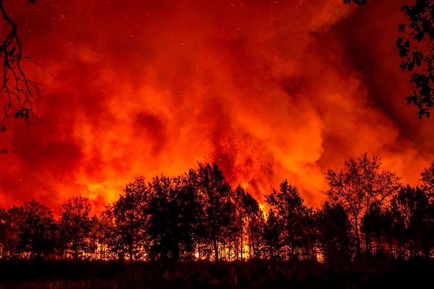 Ein Wald brennt in der Nähe des Dorfes Saumos in Südfrankreich (September).