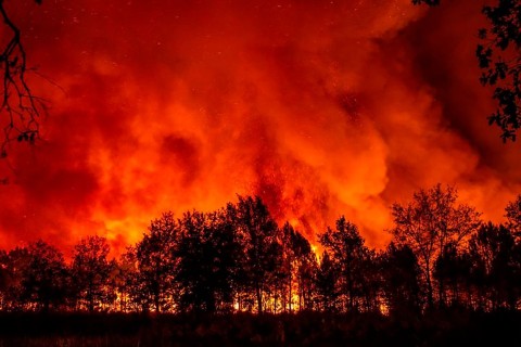 EU-Kommission: 170 Millionen Euro für Waldbrand-Flotte