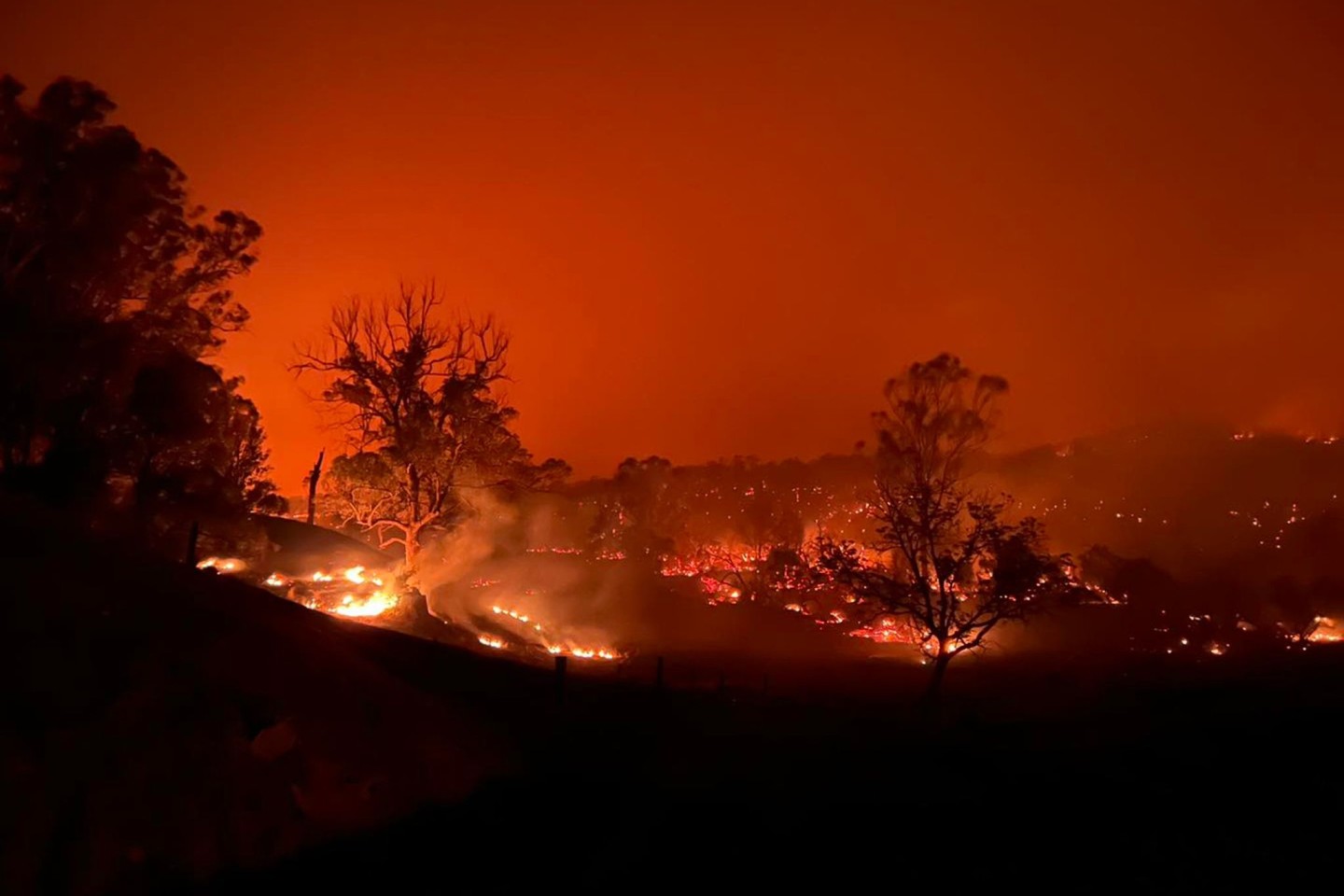 Das Buschfeuer nahe Kempsey nordöstlich von Sydney.