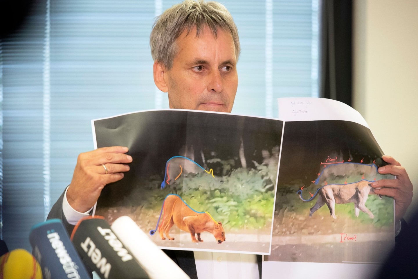Michael Grubert erklärt während einer Pressekonferenz anhand von Fotos, weshalb es sich bei dem gesuchten Raubtier um keine Löwin handelt.