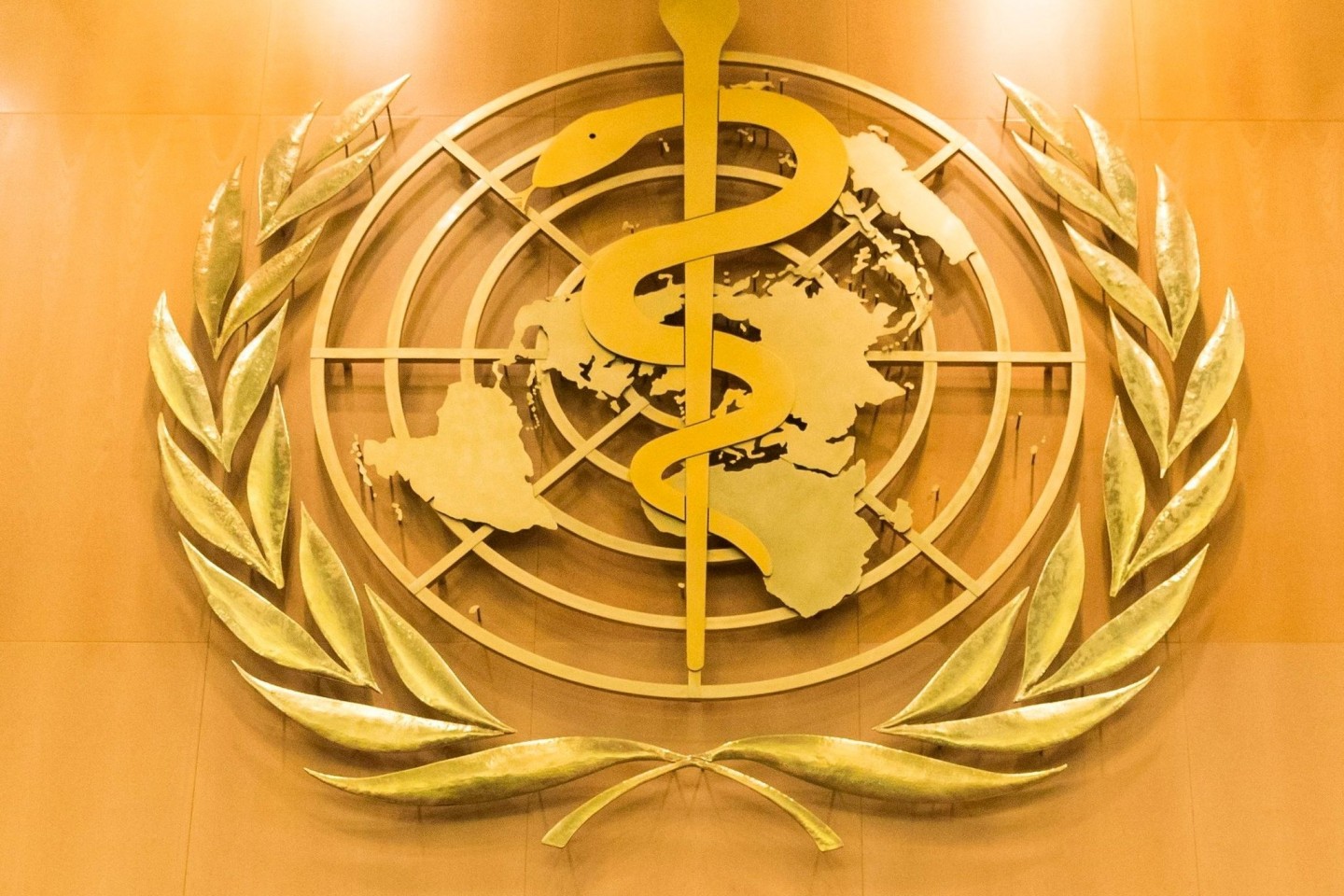 Die Weltgesundheitsorganisation (WHO) hat im vergangenen Jahr zu langsam auf erste Alarmzeichen einer möglichen Gesundheitsbedrohung reagiert. Zu diesem Schluss kommt eine von der WHO best...