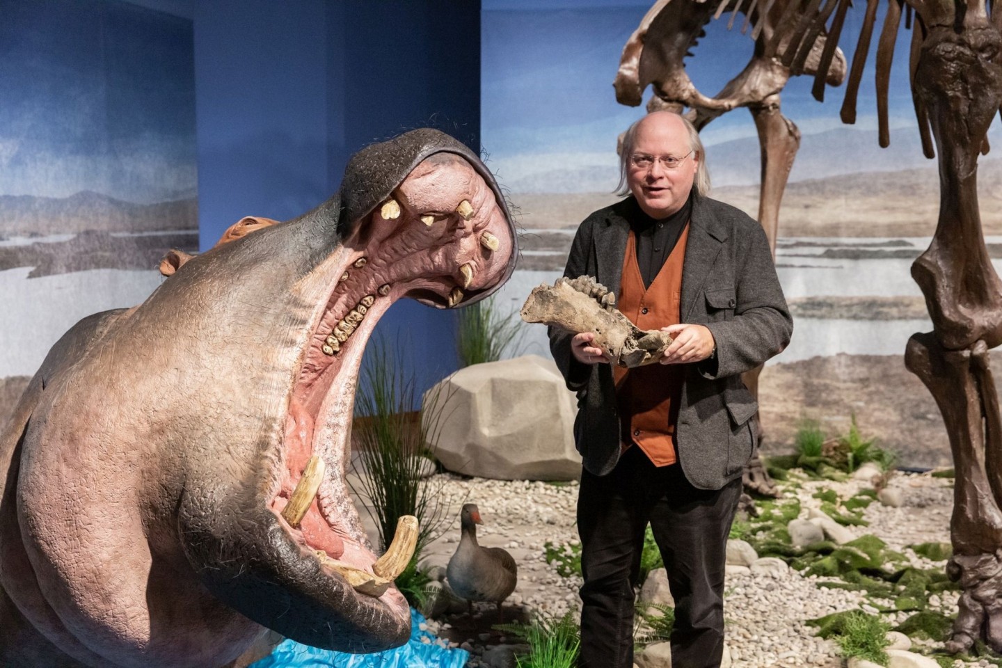 Wilfried Rosendahl, Generaldirektor Reiss-Engelhorn-Museen, neben der lebensechten Rekonstruktion eines Flusspferdes in der Ausstellung «Eiszeit-Safari».