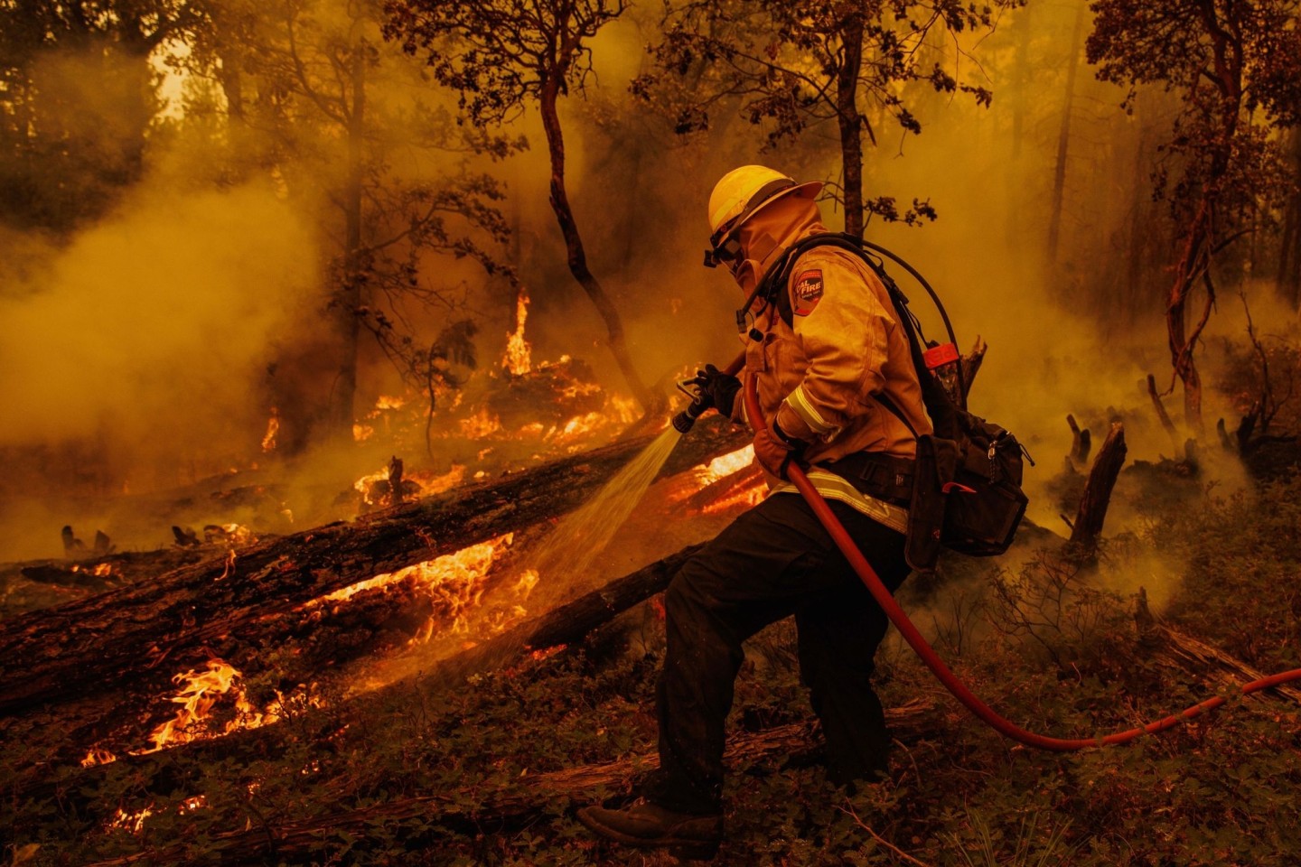 Ein Feuerwehrmann kämpft gegen die Flammen des Oak Fire in Mariposa County.