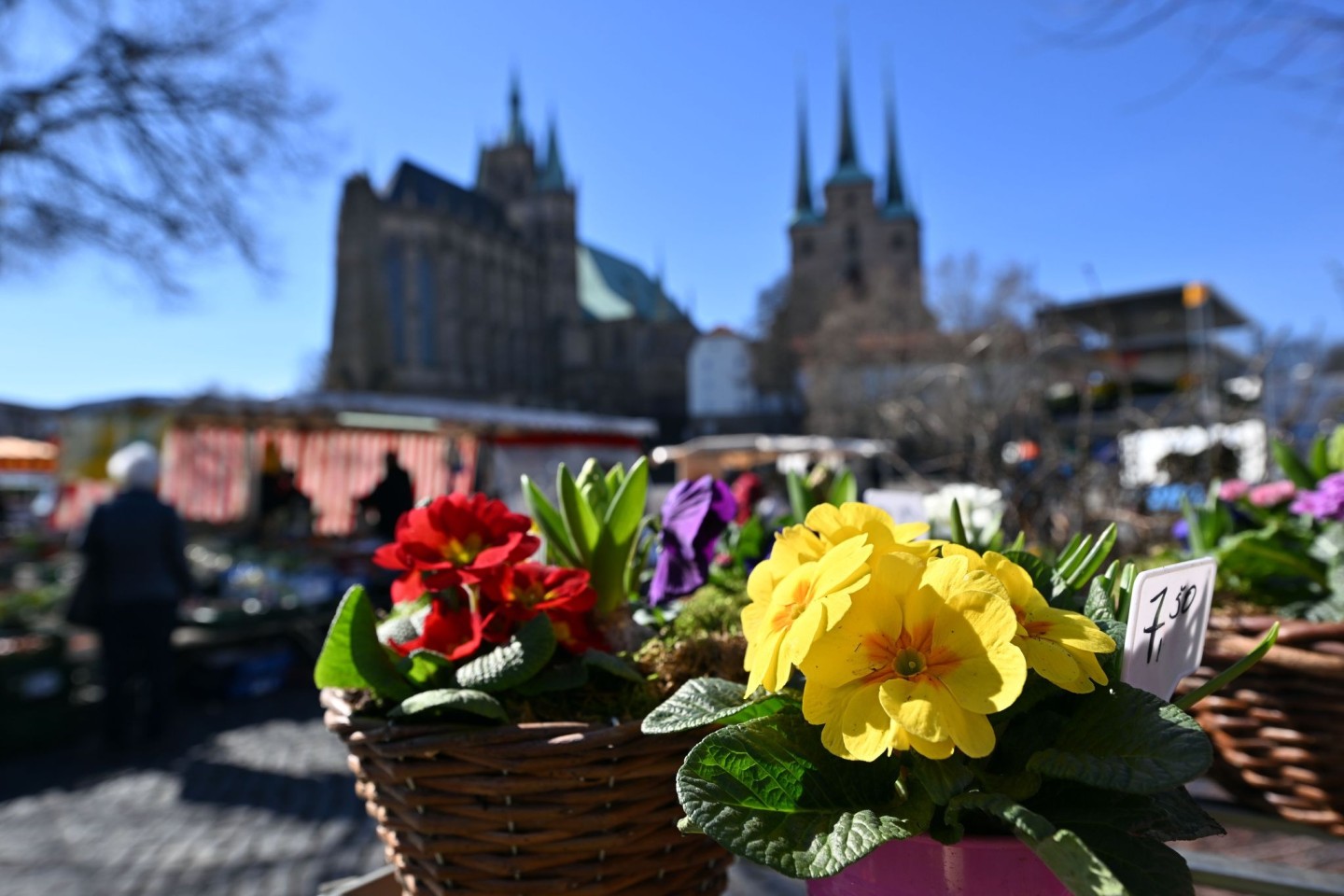 Die Sonne lacht - Frühlingswetter in Erfurt.
