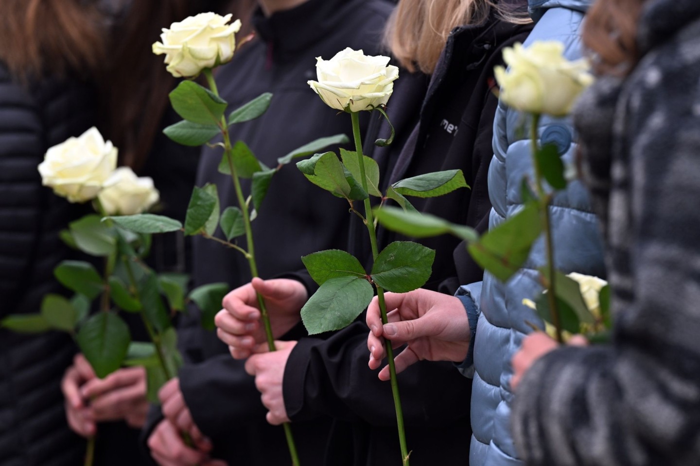 Schülerinnen und Schüler gedenken mit weißen Rosen der Opfer.