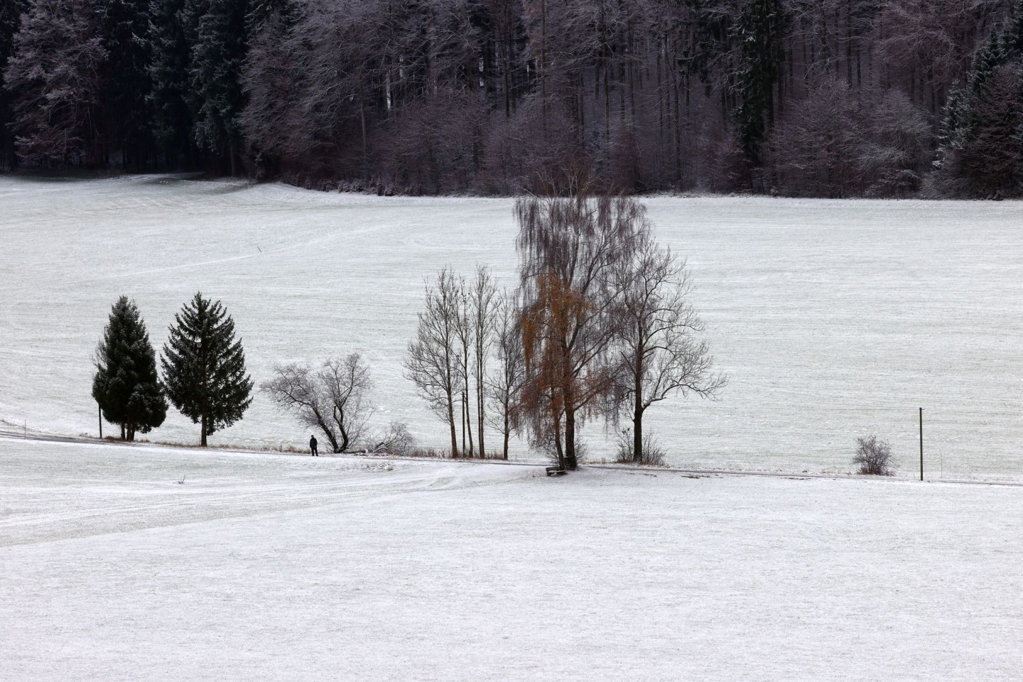 Allein in der Winterlandschaft (Bayern).
