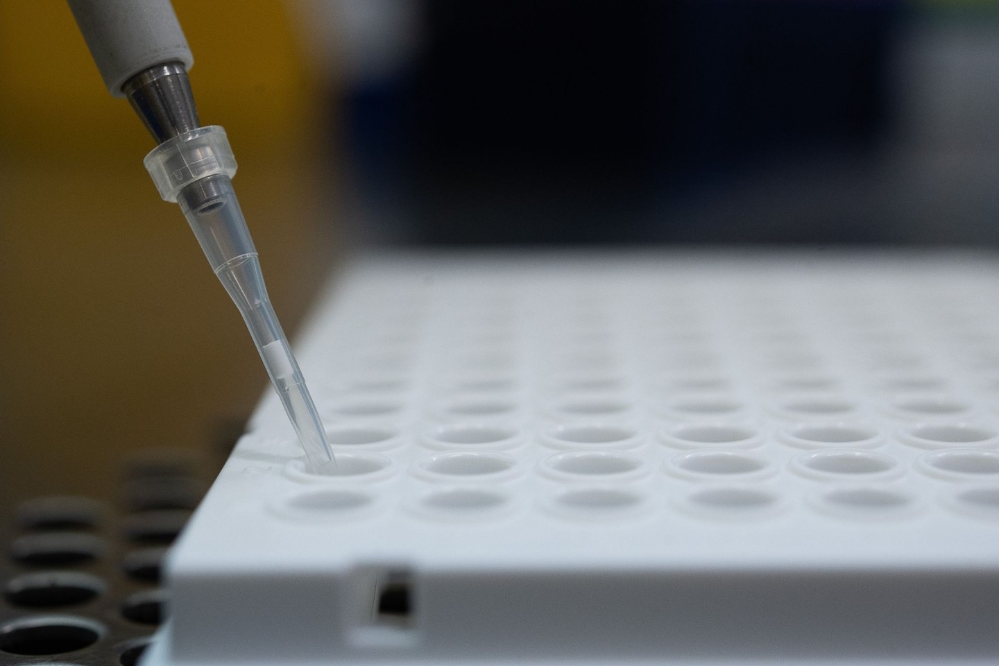Ein PCR-Test wird für die Untersuchung auf die Corona-Variante vorbereitet.