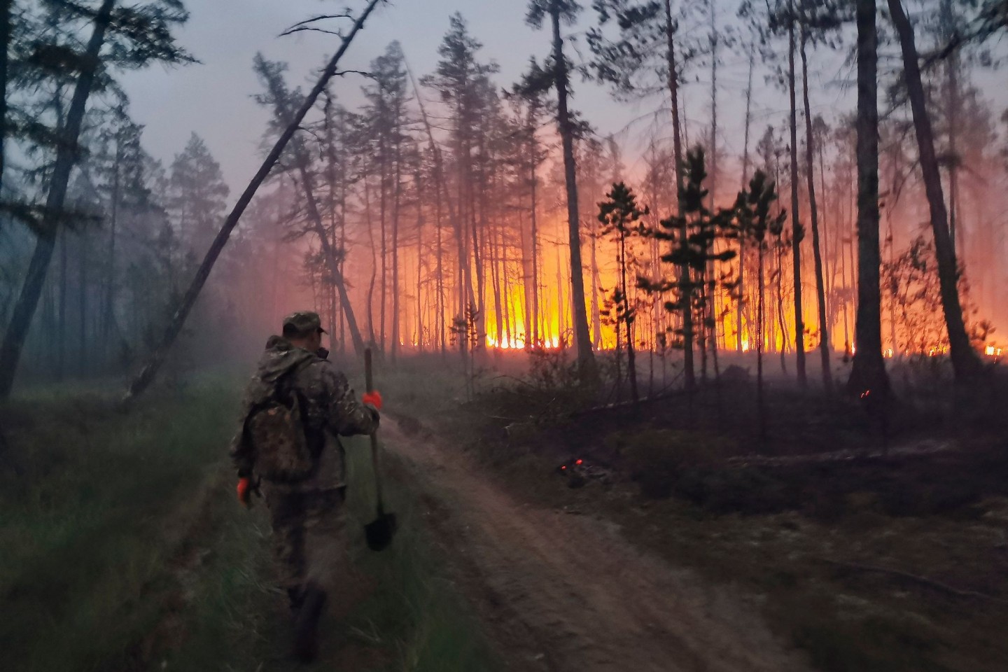 Freiwillige löschen einen Waldbrand in der Republik Sacha, auch bekannt als Jakutien.
