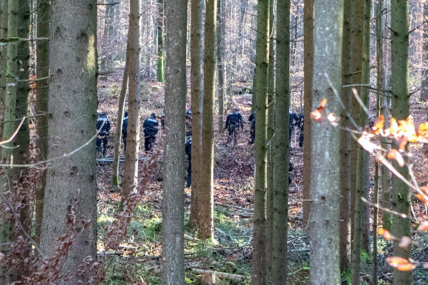 Polizisten durchkämmen den Wald bei Kipfenberg.