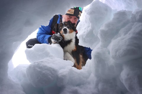 Lawinenhunde üben die Rettung aus meterhohem Schnee