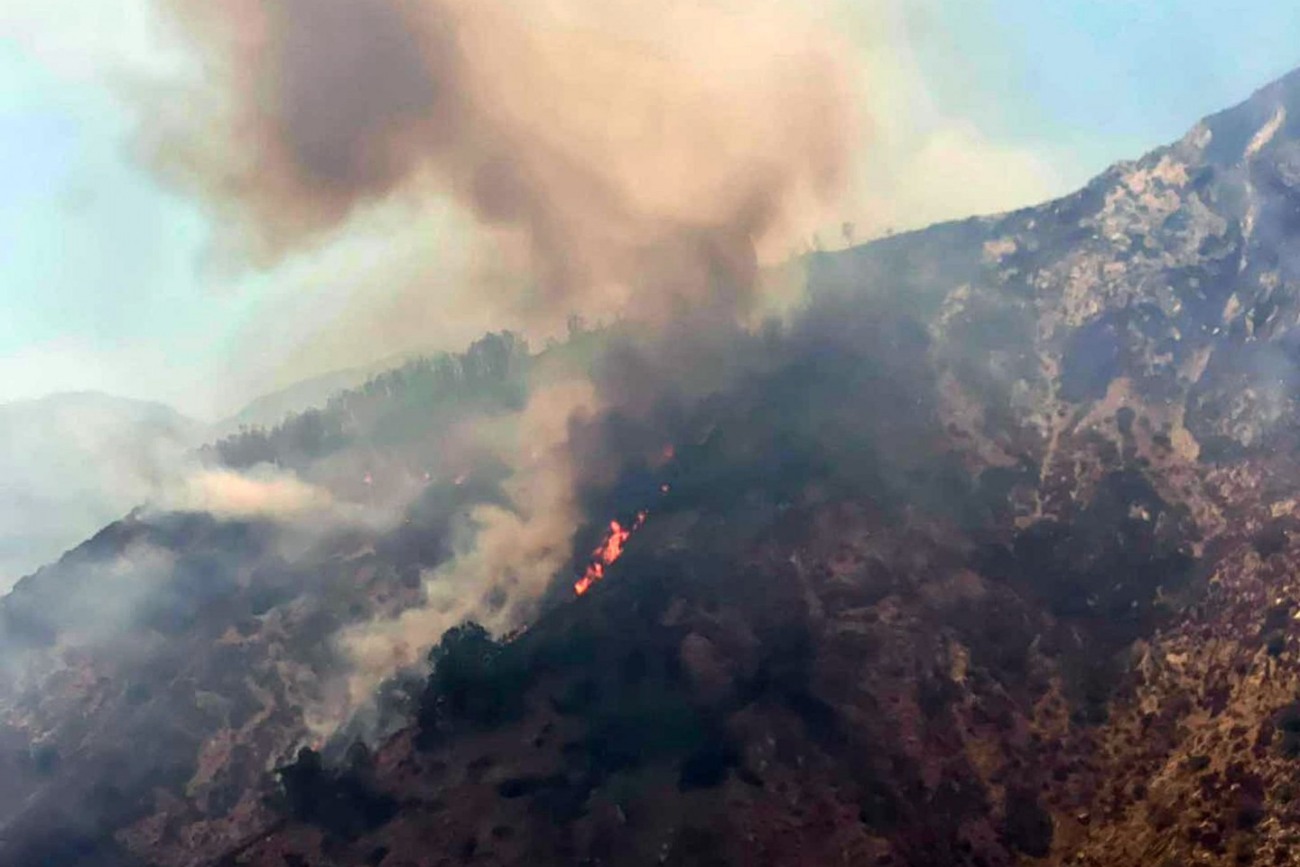 Feuer im Nationalpark Aspromonte in Kalabrien.
