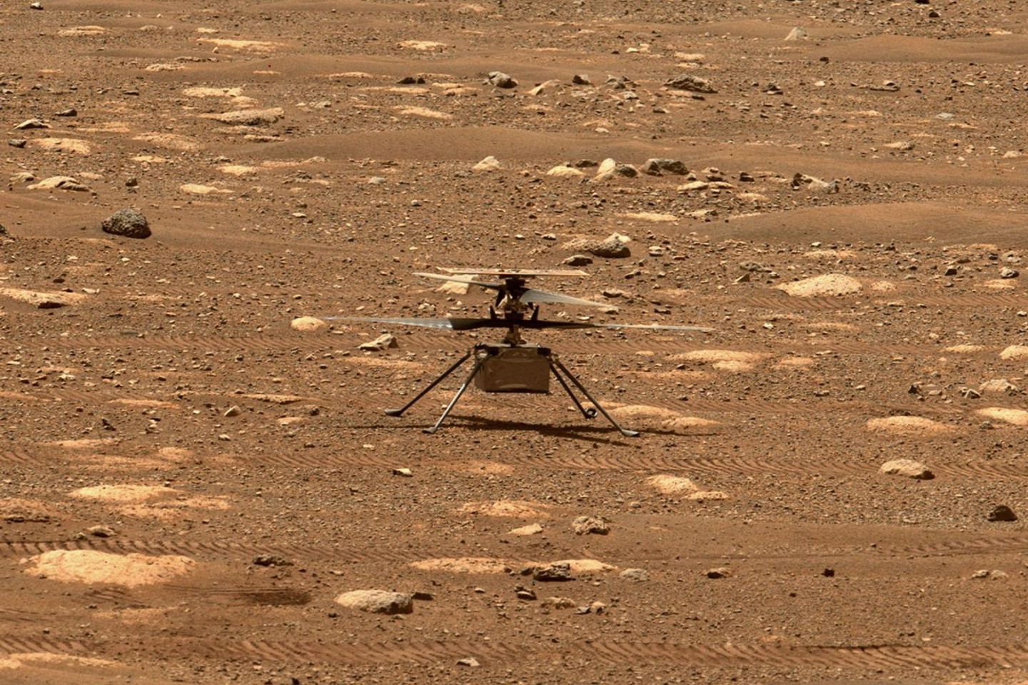 Das Foto zeigt den Hubschrauber «Ingenuty» am 7. April auf dem Mars.