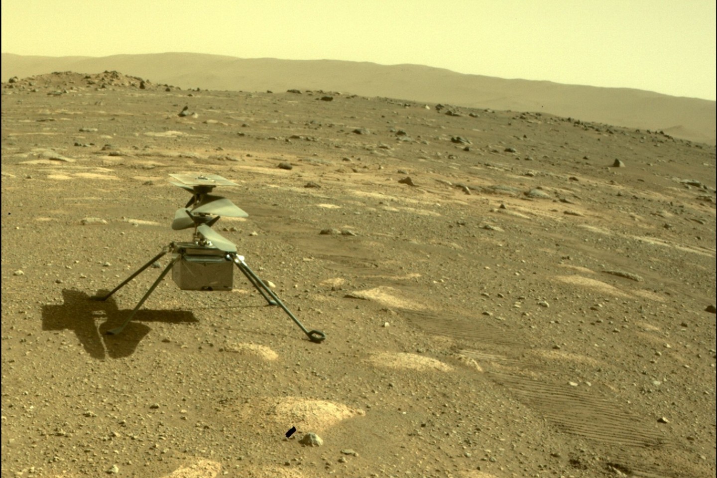 Der Hubschrauber «Ingenuity» der US-Raumfahrtbehörde Nasa zu sehen auf dem Mars, aufgenommen von der hinteren Kamera des Rovers «Perseverance».