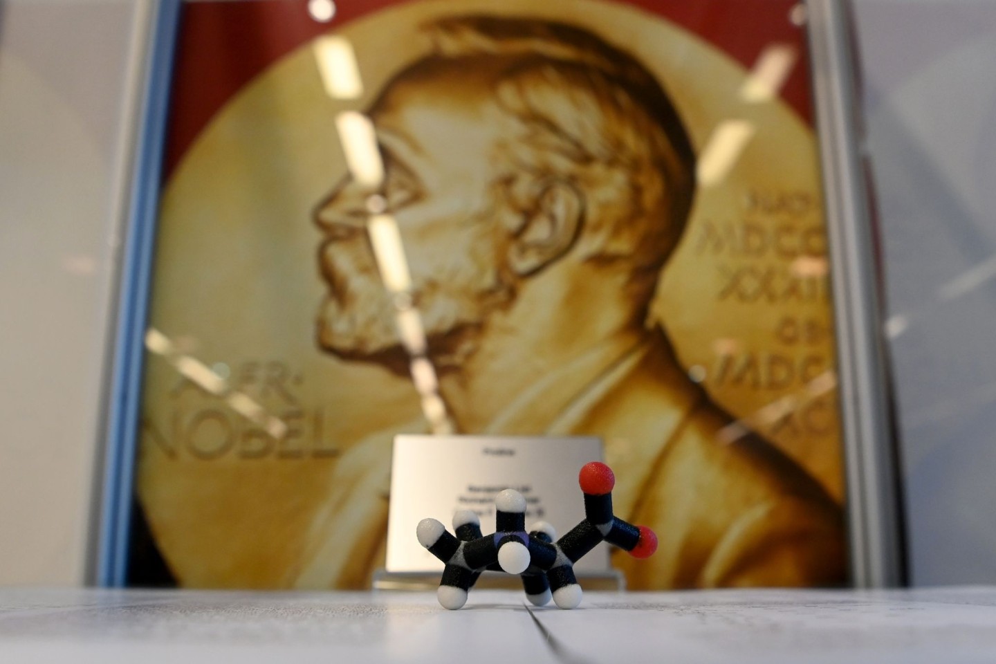 Das Modell eines Proline Moleküls, an dem Benjamin List gearbeitet hat, steht in einer Vitrine vor einer Pressekonferenz im Max-Planck-Institut (MPI) für Kohlenforschung.