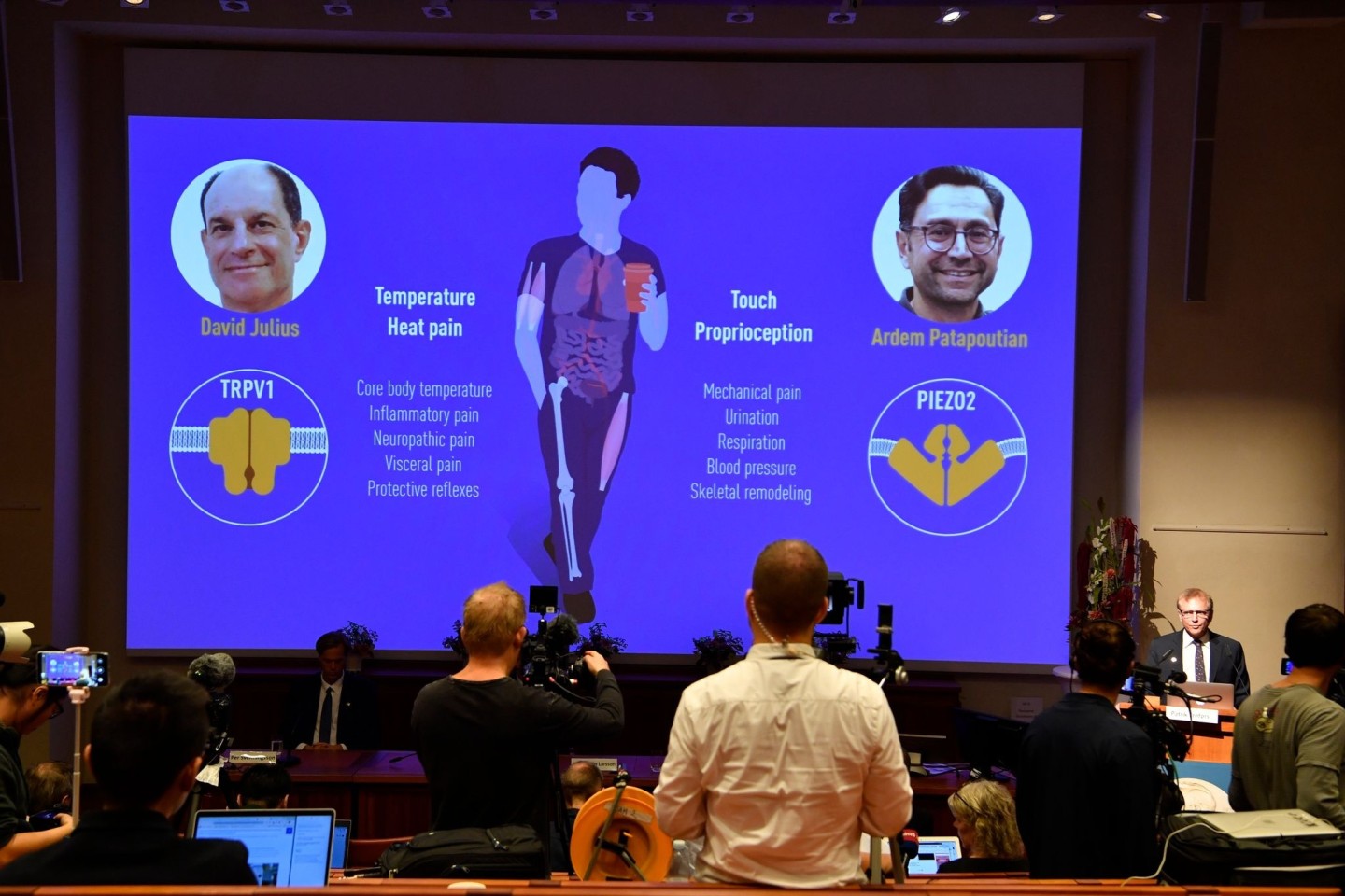 Nobelkomiteemitglied Patrik Ernfors (r) erläutert den Nobelpreis für Physiologie oder Medizin 2021 während einer Pressekonferenz im Karolinska-Institut in Stockholm.