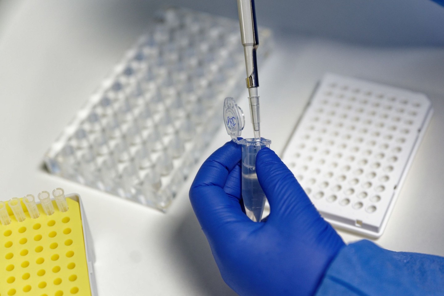 Eine Mitarbeiterin des Labors CBT füllt mit einer Pipette, zur Vorbereitung von PCR-Tests, eine Testflüssigkeit ein.