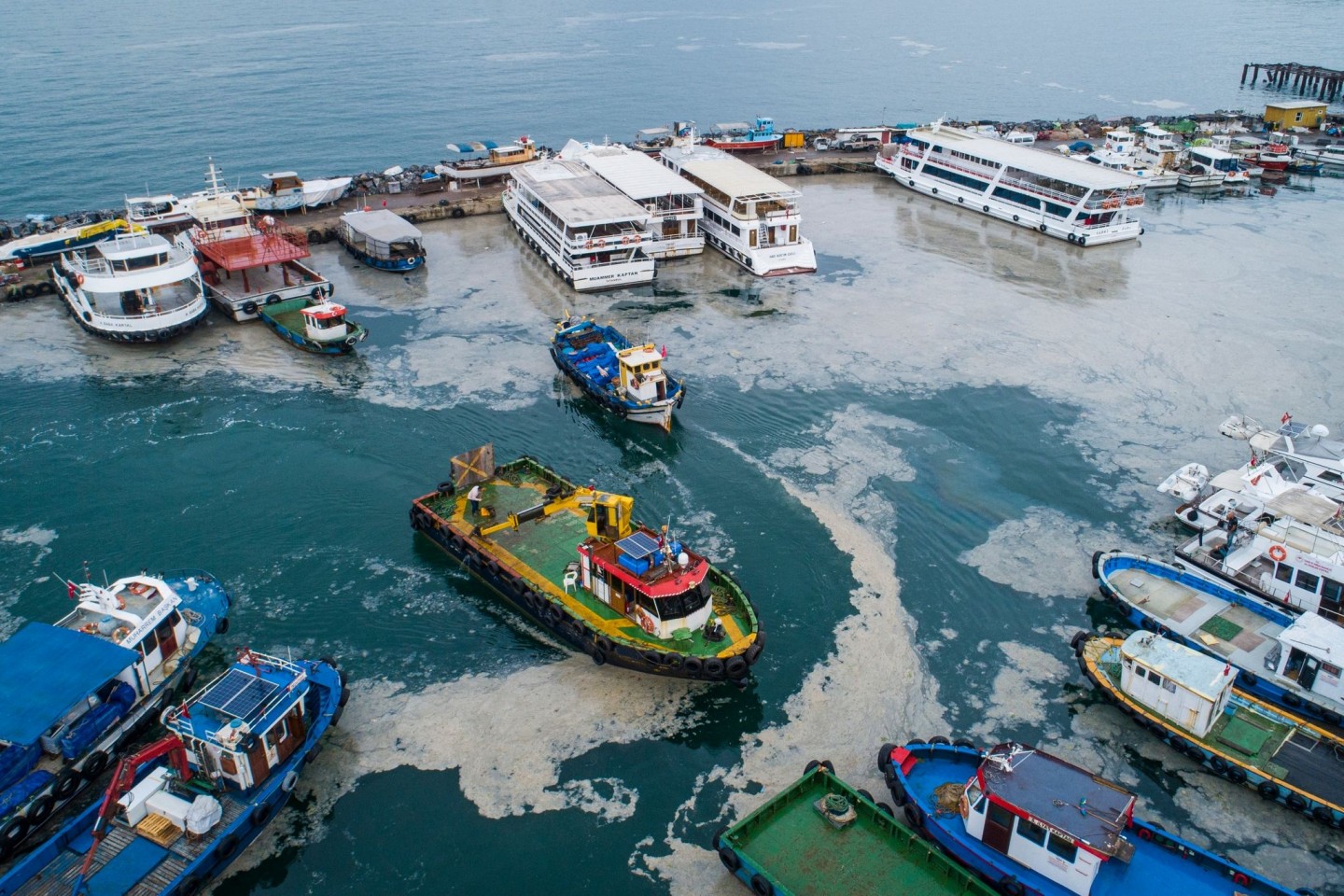 Eine dicke Schicht von Meeresschleim bedeckt das Marmarameer am Fischerhafen von Kartal, auf der asiatischen Seite Istanbuls.