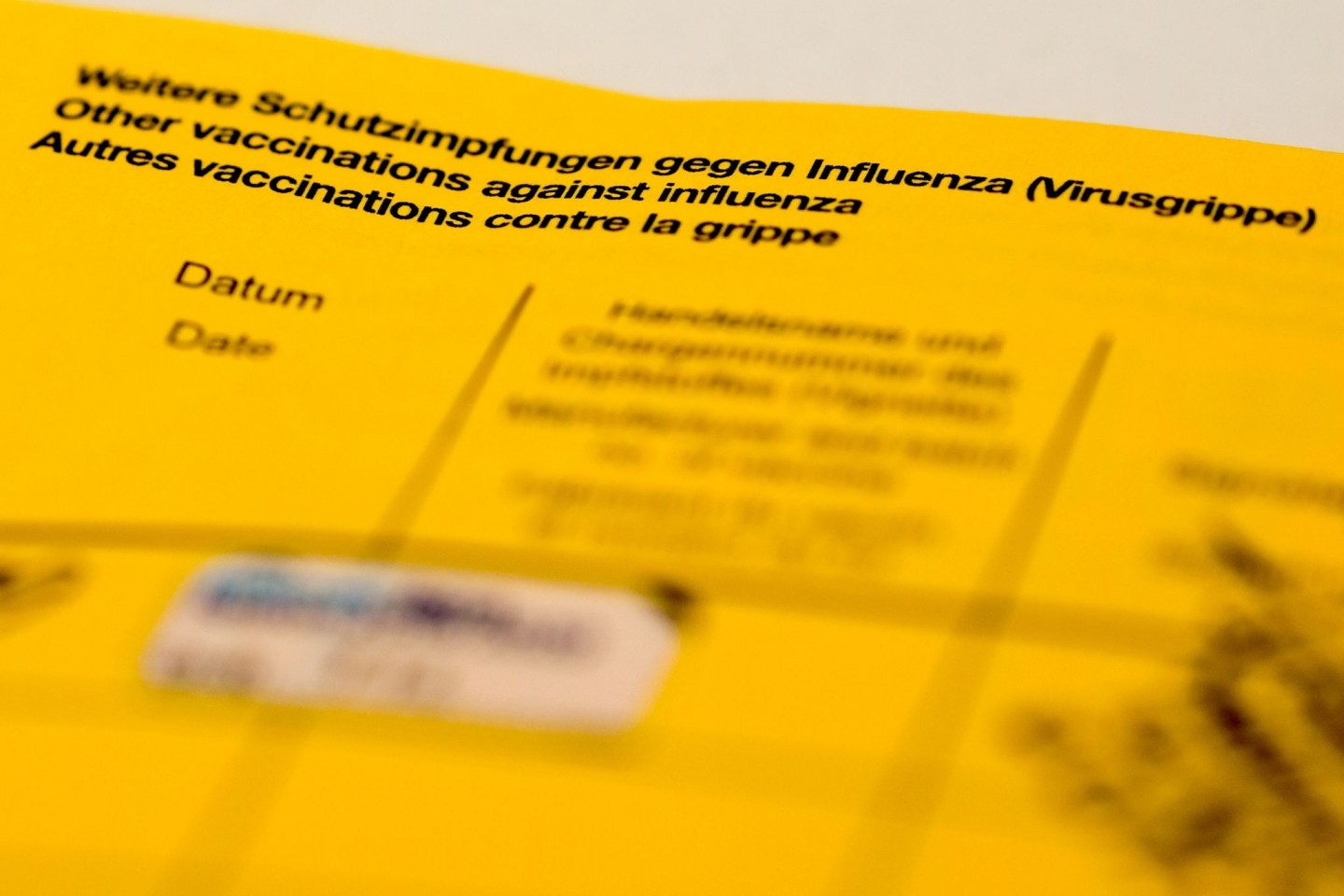Ein Impfbuch mit den Feldern für die Impfung gegen Influenza (Virusgrippe).
