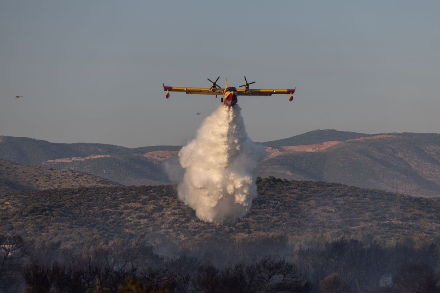 Ein Flugzeug versucht, einen Waldbrand in einem Wald in der Nähe der Stadt Mandra im Westen Attikas zu löschen.