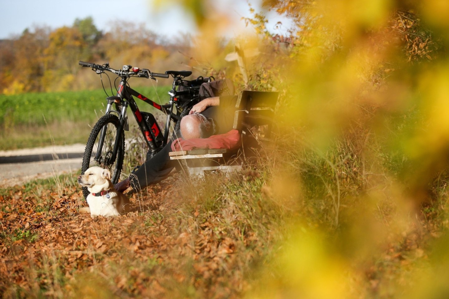 Ein Radfahrer und sein Hund sonnen sich auf der Schwäbischen Alb.