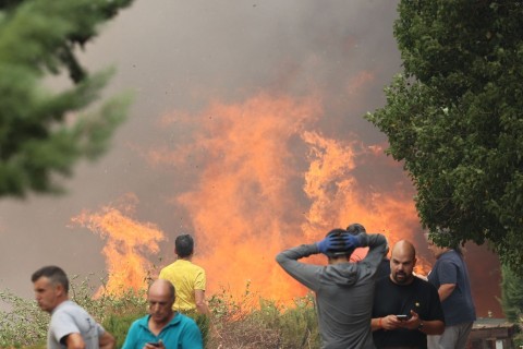 Spanien kämpft weiter gegen Waldbrände