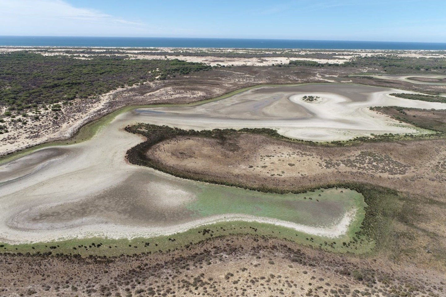 Die Lagune Santa Olalla im Nationalpark Coto de Doñana ist ausgetrocknet.