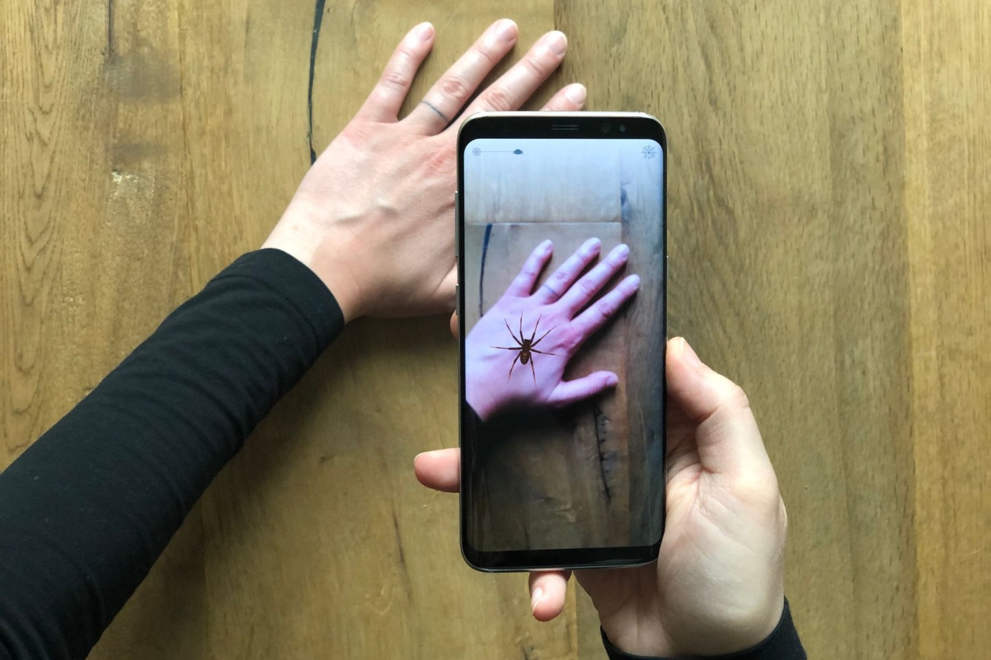 Eine App zeigt eine virtuelle Spinne auf einer Hand. Angst vor Spinnen macht vielen Leuten das Leben schwer - nun könnte das Handy Abhilfe schaffen.
