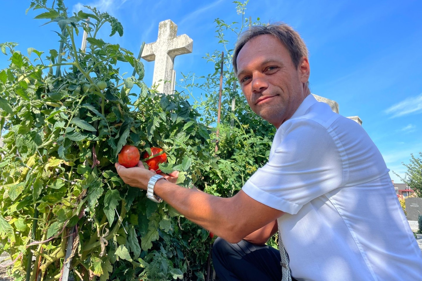 Friedhofsverwalter Walter Pois zeigt ein mit Tomaten bepflanztes Grab auf dem Matzleinsdorfer Friedhof in Wien.