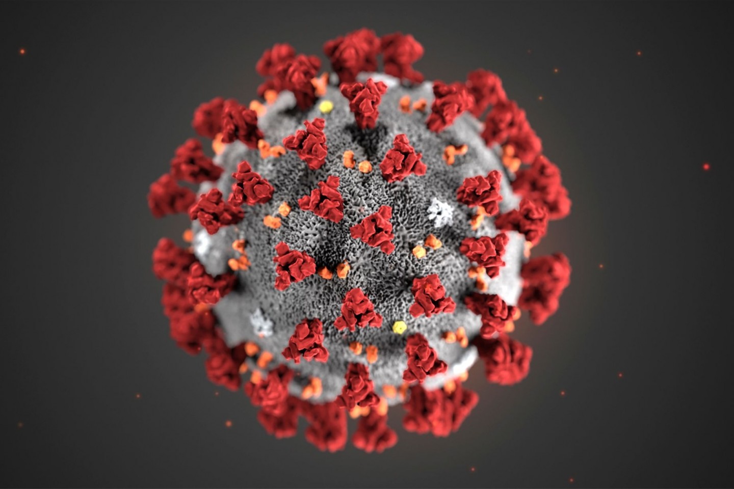 Diese von den Centers for Disease Control and Prevention (CDC) im Januar 2020 zur Verfügung gestellte Illustration zeigt das Coronavirus (2019-nCoV).
