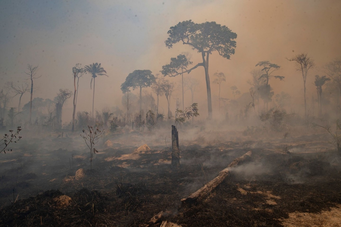 Rauch steigt während eines Brandes im brasilianischen Amazonas-Gebiet auf.