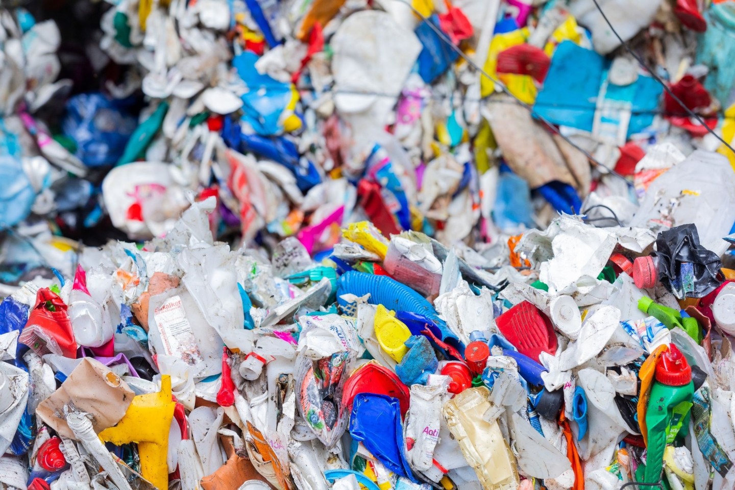 Der WWF will mit einer Ausstellung im Metaverse auf die weltweite Plastikmüll-Krise aufmerksam machen.