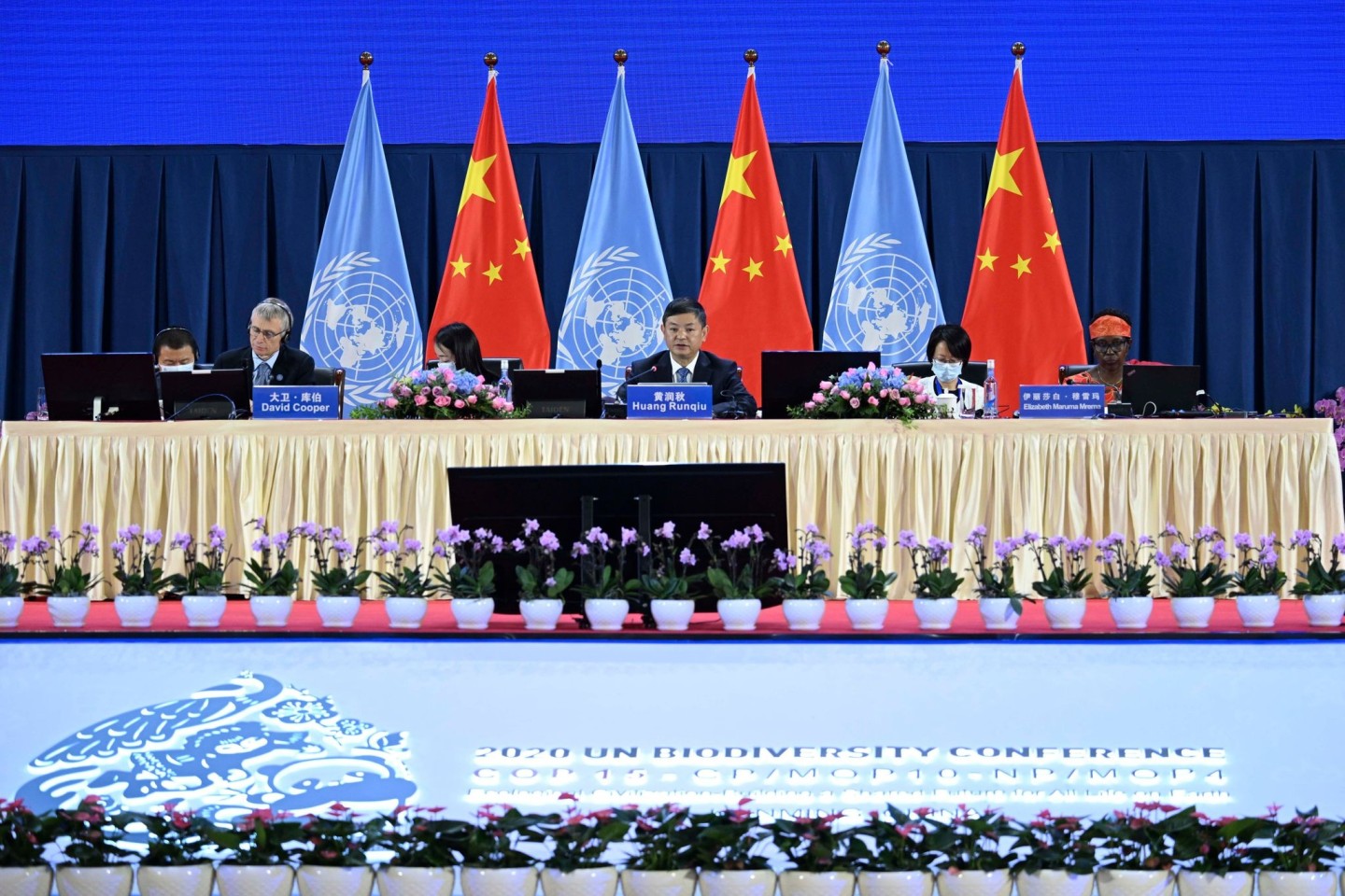Die 15. UN-Weltnaturschutzkonferenz findet im chinesischen Kunming statt.
